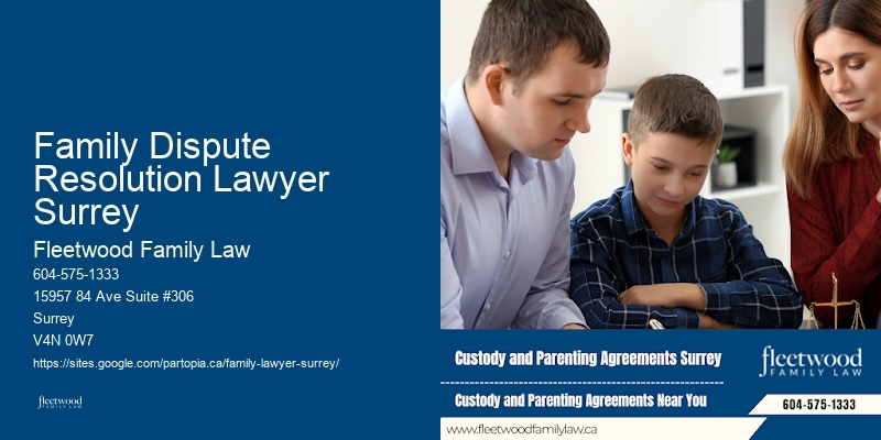 Family Dispute Resolution Lawyer Surrey Family Law and Estate Lawyer