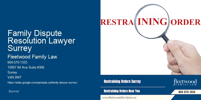 Family Lawyer Fee Tracking