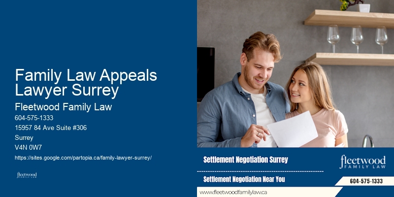 Family Law Appeals Lawyer Surrey Child Custody Attorney