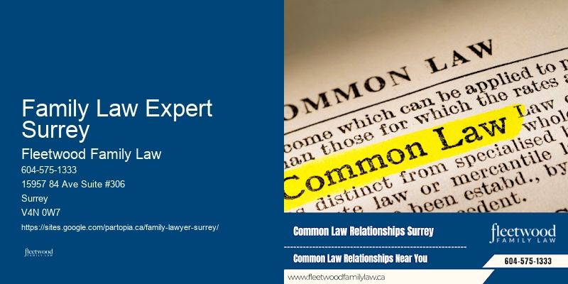 Family Lawyer Family Law Expert Surrey Legal Solutions