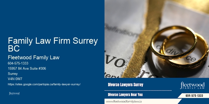 Who Is The Best Family Lawyer