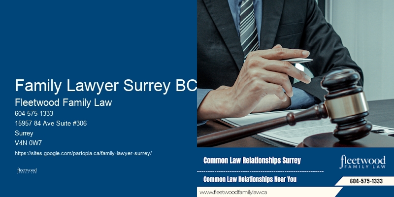 Family Legal Consultant