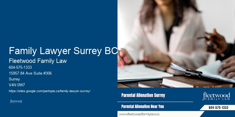 Expert Family Lawyer Family Lawyer Surrey BC