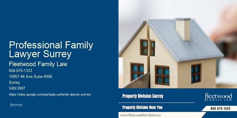 Family Lawyer Professional Family Lawyer Surrey Assistance