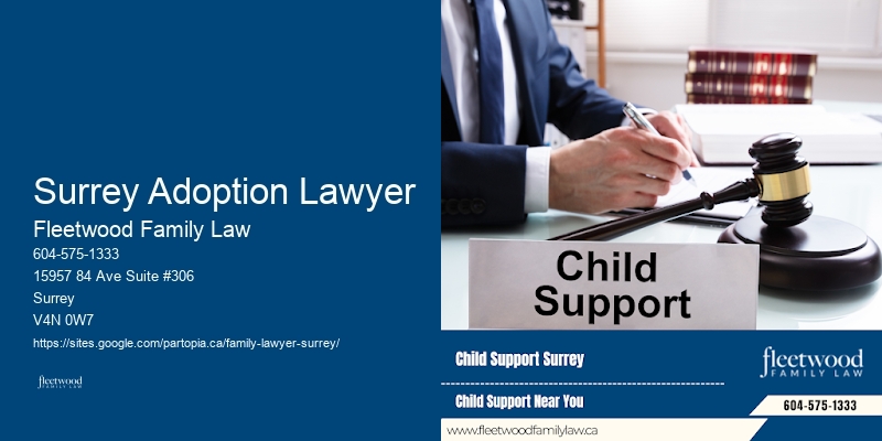 Family Lawyer Surrey Adoption Lawyer Legal Advice
