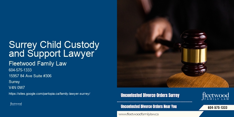 Surrey Child Custody and Support Lawyer