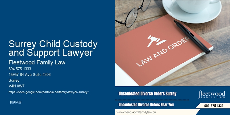 Family Law Specialist Surrey Child Custody and Support Lawyer