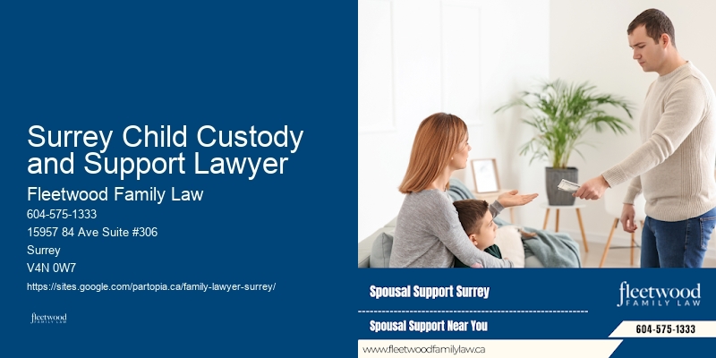 Surrey Child Custody and Support Lawyer Family Law Appeals