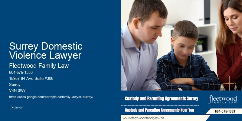 Family Lawyer Surrey Domestic Violence Lawyer Courtroom Experience