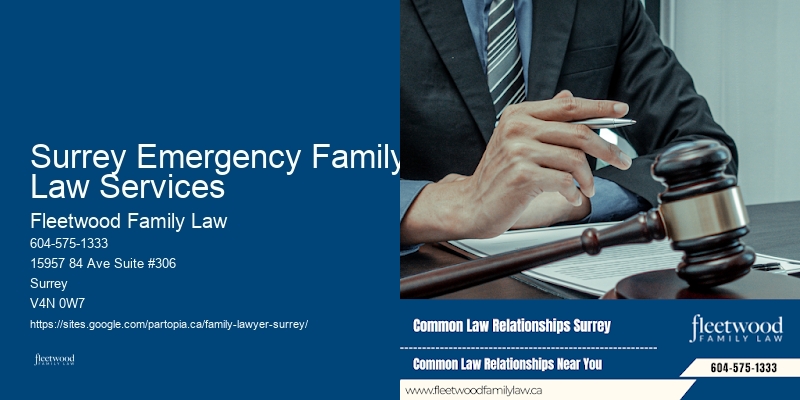 Family Lawyer Surrey Emergency Family Law Services Legal Options