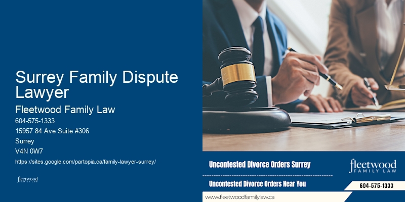 Surrey Family Dispute Lawyer Family Dispute Lawyer
