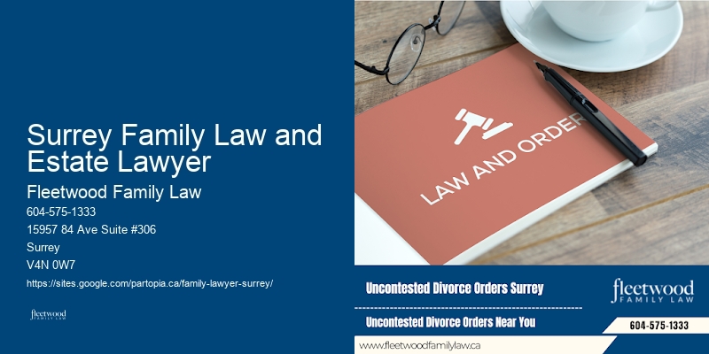 Surrey Family Law and Estate Lawyer Child Custody Lawyer