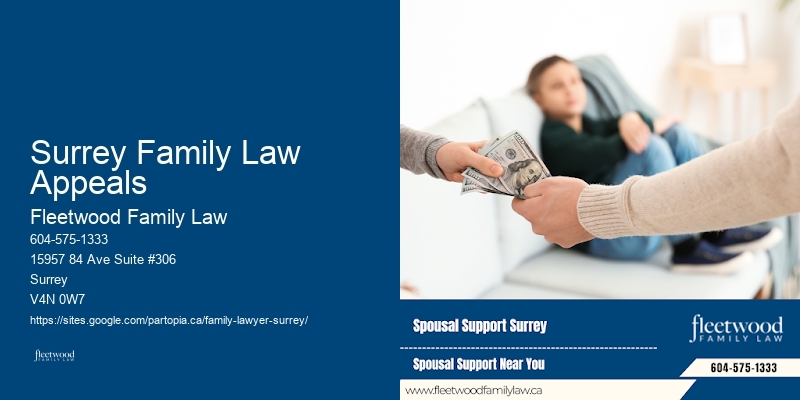 Family Lawyer Surrey Family Law Appeals
