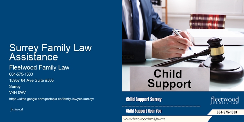 Surrey Family Law Assistance Child Support Lawyer