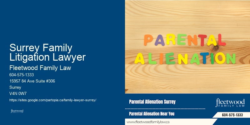 Surrey Family Litigation Lawyer Child Custody Lawyer Affordable