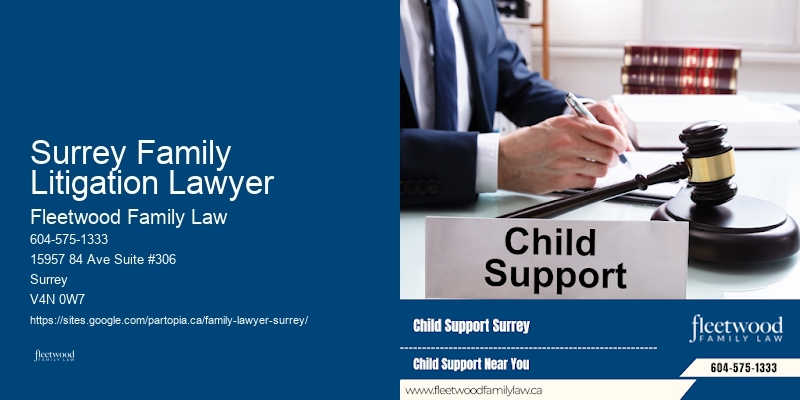 Surrey Family Litigation Lawyer Domestic Relations Lawyer