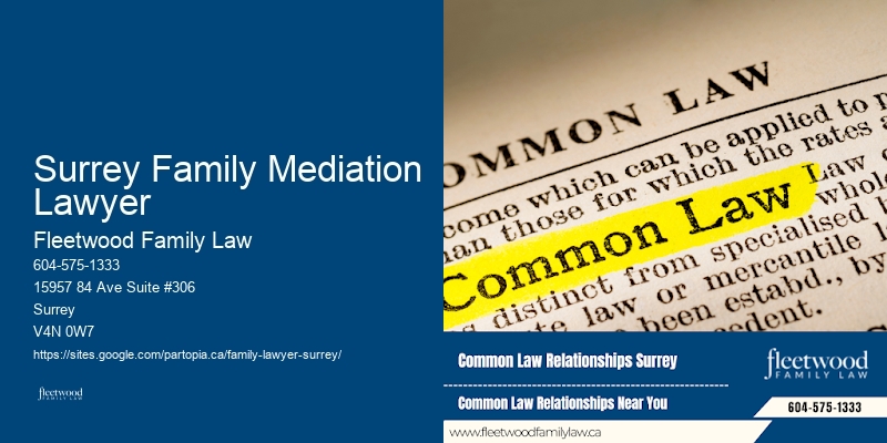 Family Lawyer Cost Tracking