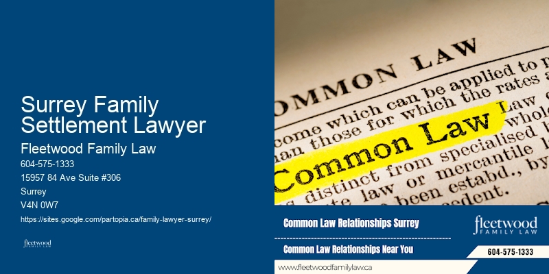 Best Divorce Lawyers Surrey Family Settlement Lawyer