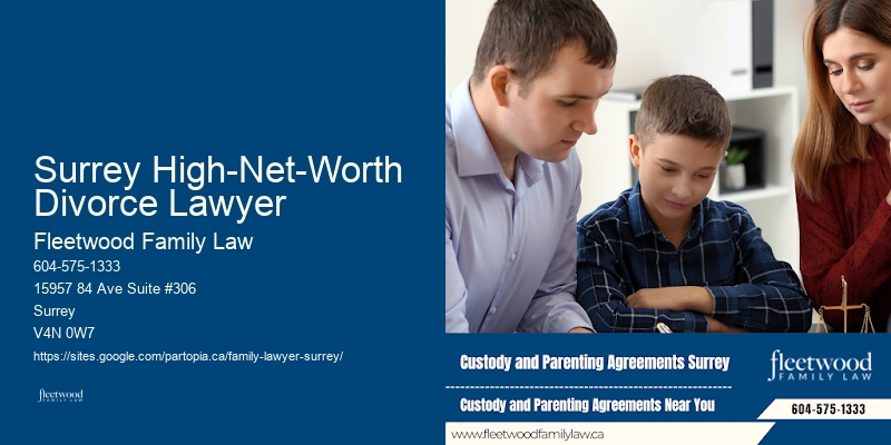 Family Lawyer Cost Efficiency