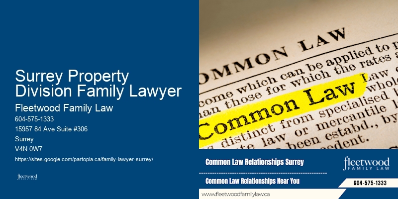 Surrey Property Division Family Lawyer'S Best Family Lawyer Consultations