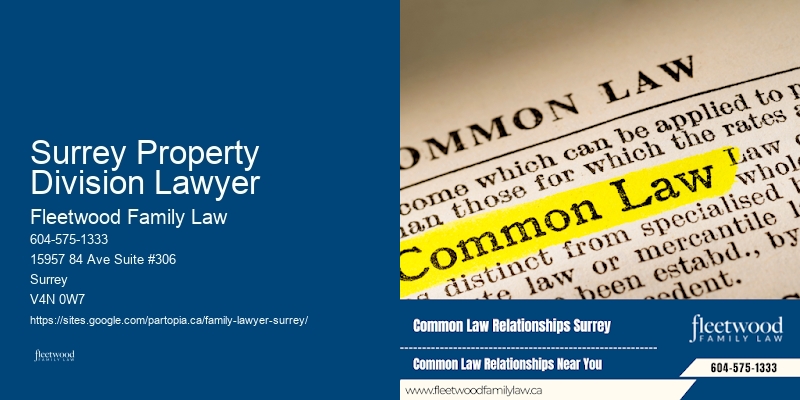 Surrey Property Division Lawyer Family Law Representation