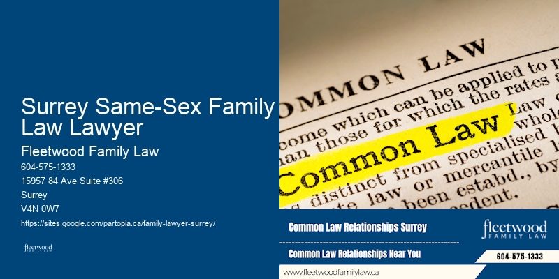 Top-rated Family Lawyer Surrey Same-Sex Family Law Lawyer