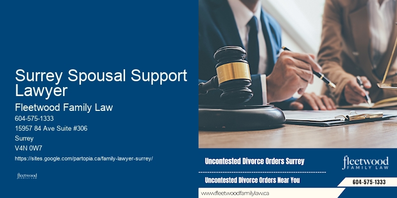 Surrey Spousal Support Lawyer Family Law Mediation