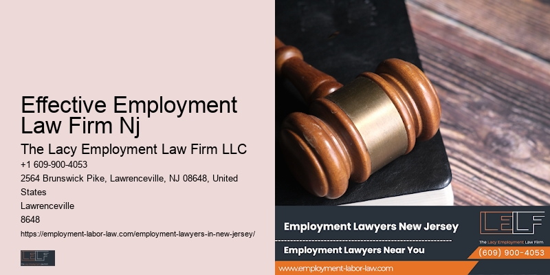 Nj Employment Legal Advisor