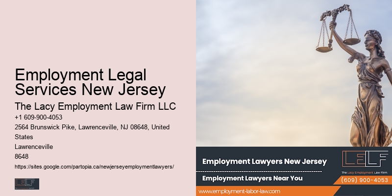 Top Employment Litigation Lawyer Nj