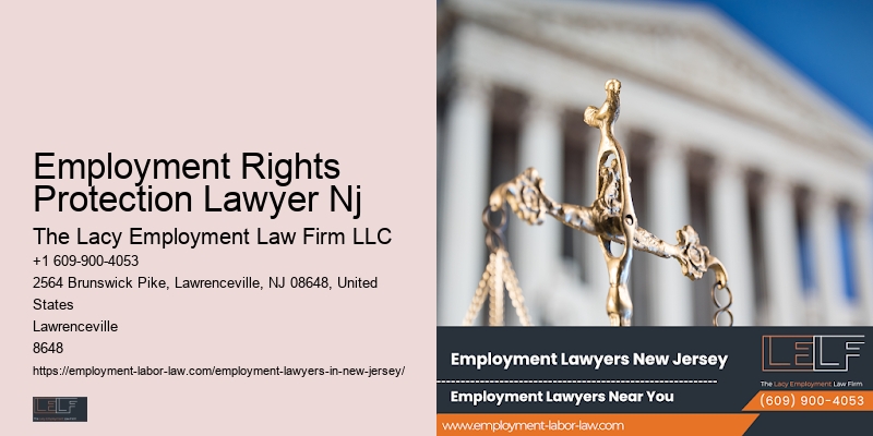 Premier Nj Employment Law Expert