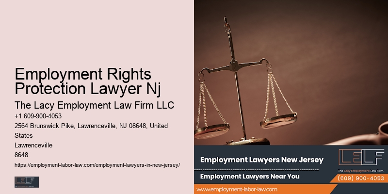 Nj Government Employee Rights Lawyer