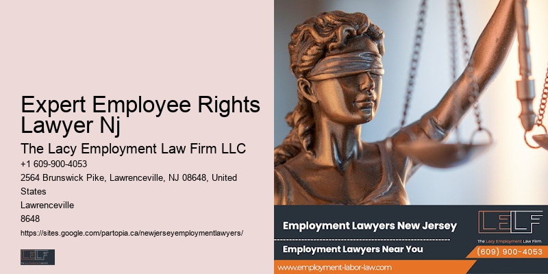 Comprehensive Employment Law Services Nj