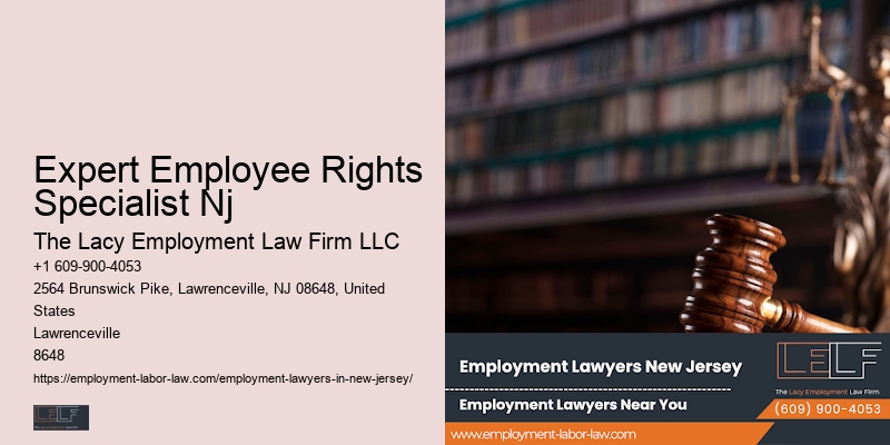 Expert Employee Rights Specialist Nj Employment Law Consultant