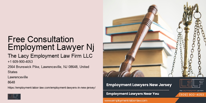 Labor Law Attorney For Professionals Nj
