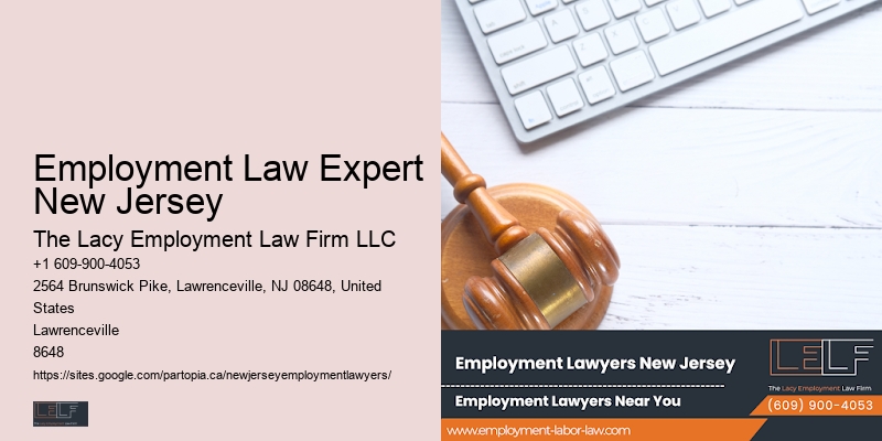 Nj Employment Law Professional