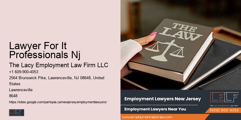 Lawyer For It Professionals Nj