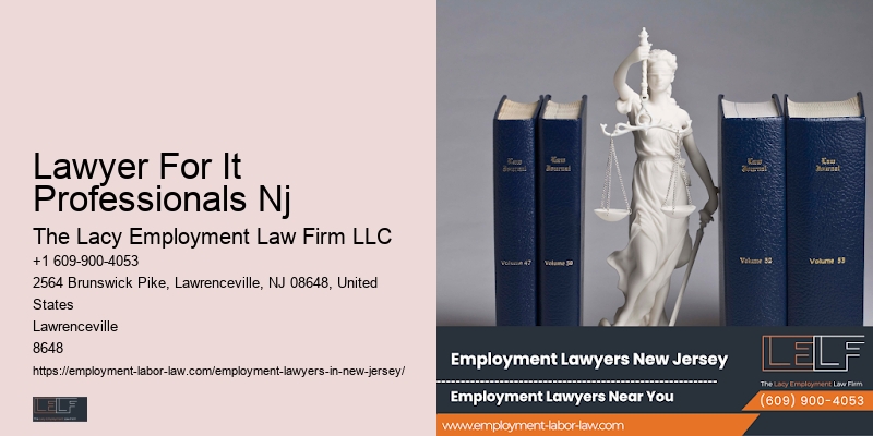Top-Rated Employment Lawyer Lawyer For It Professionals Nj