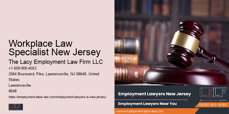 Employment Contracts Lawyer Workplace Law Specialist New Jersey