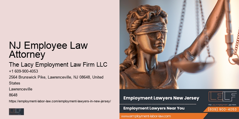 Top New Jersery Employment Lawyers