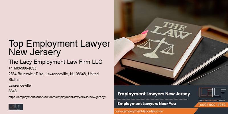 Top Employment Lawyer New Jersery