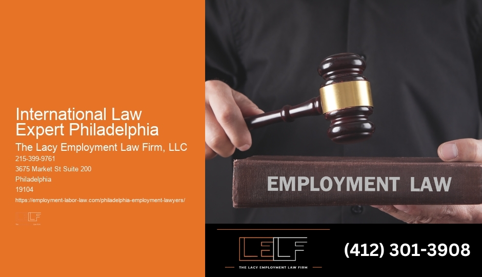 Skilled Legal Help Services International Law Expert Philadelphia