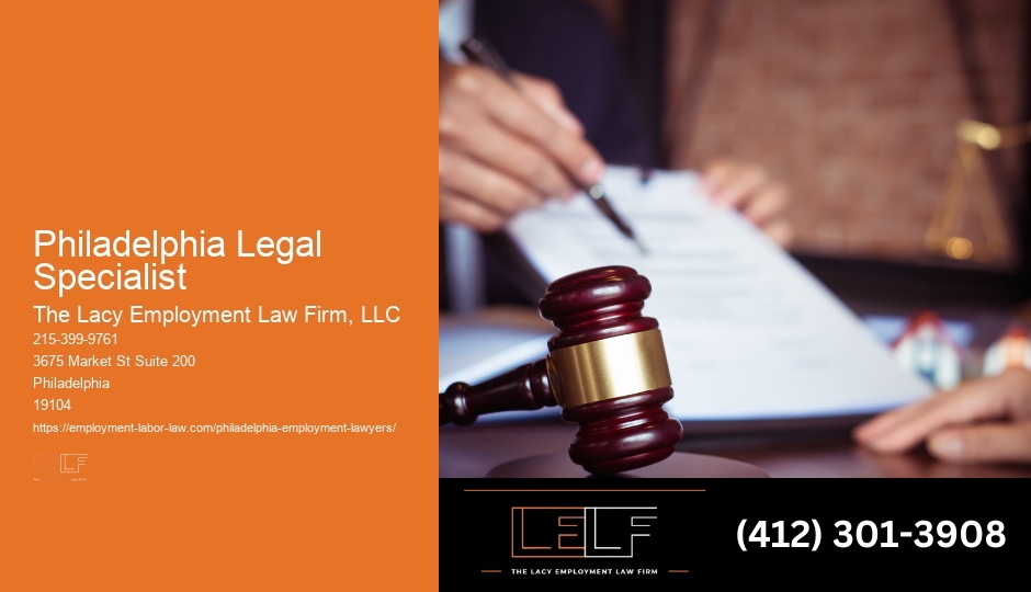 Professional Litigation Services Philadelphia Legal Specialist