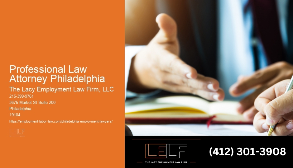 Professional Law Attorney Philadelphia Case Law Attorney