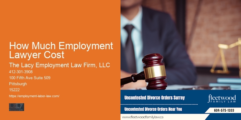 How Much Employment Lawyer Cost