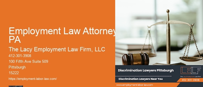Employment Law Attorney PA