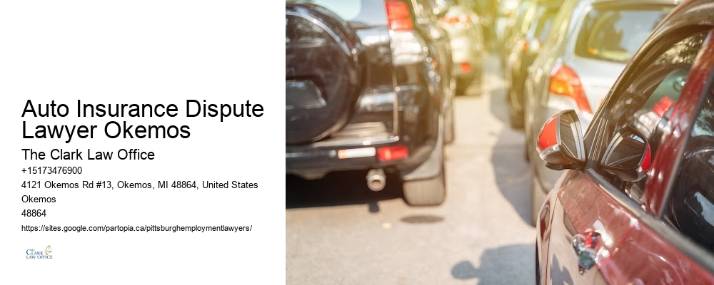 Auto Insurance Dispute Lawyer Okemos