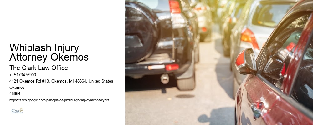 Whiplash Injury Attorney Okemos
