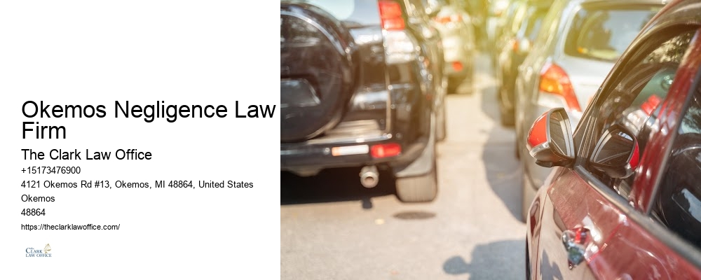 Okemos Negligence Law Firm