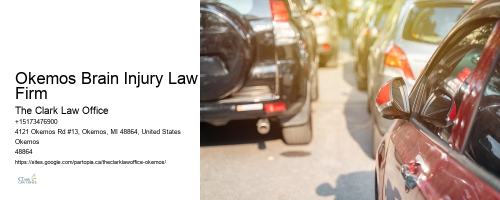 Okemos Brain Injury Law Firm