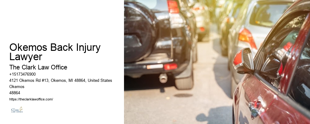 Okemos Back Injury Lawyer